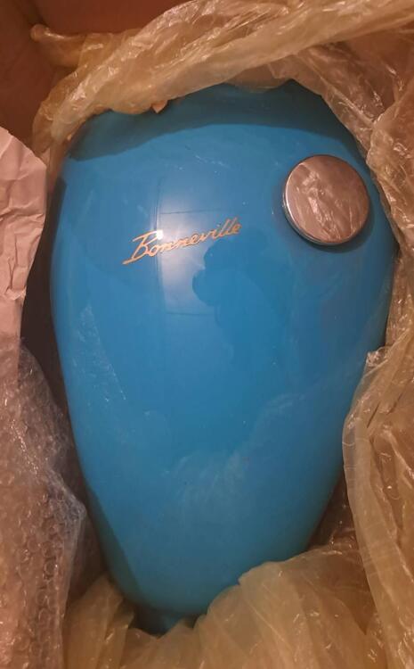 Livrea Bonneville T100 Triumph (4)