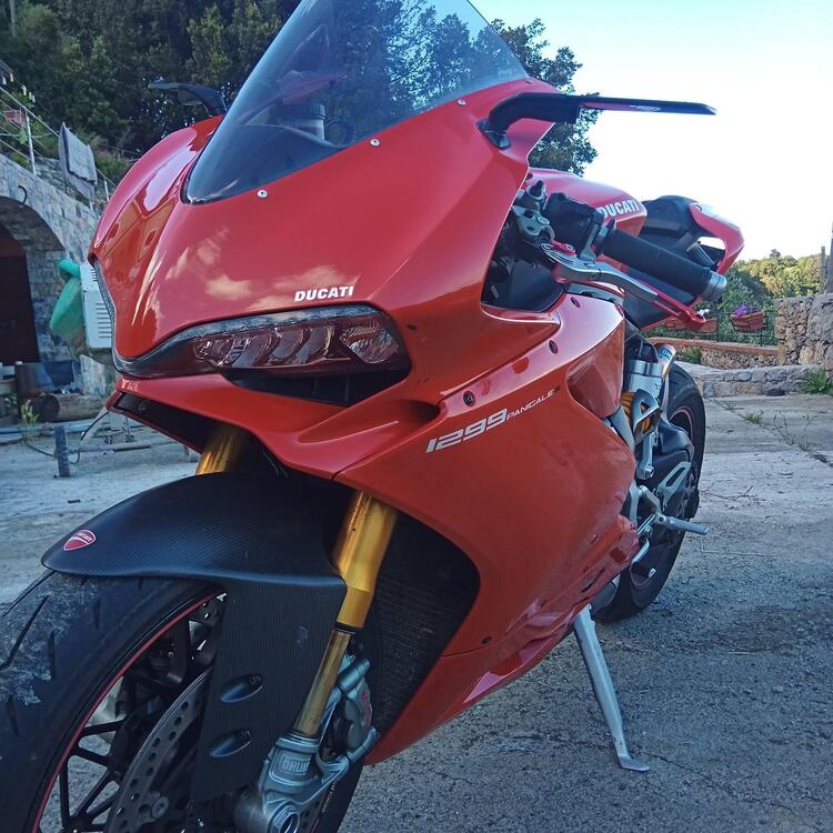 Ducati 1299 Panigale S (2015 - 18)