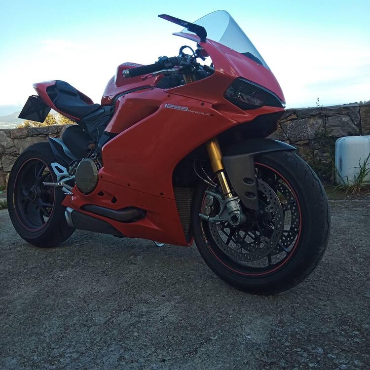 Ducati 1299 Panigale S (2015 - 18) (2)