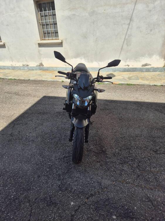 Kawasaki Z 650 (2017 - 19) (2)