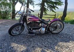 Harley-Davidson 1450 Heritage Classic (2003 - 05) - FLSTCI usata