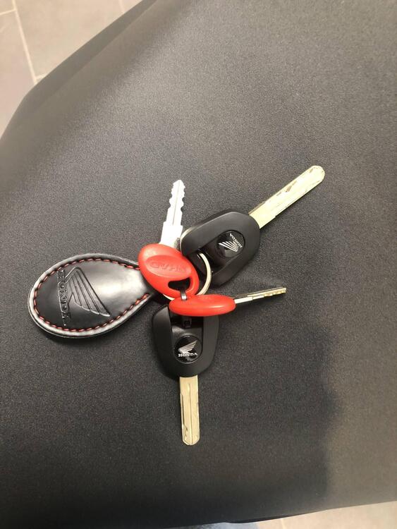 Honda Transalp XL750 (2023 - 24) (4)