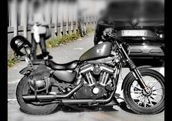 Harley-Davidson 883 Iron (2009 - 11) - XL 883N usata