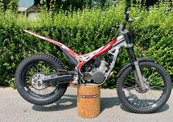 Betamotor Evo 290 2t (2010 - 11) usata