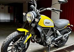 Ducati Scrambler 800 Icon (2015 - 16) usata
