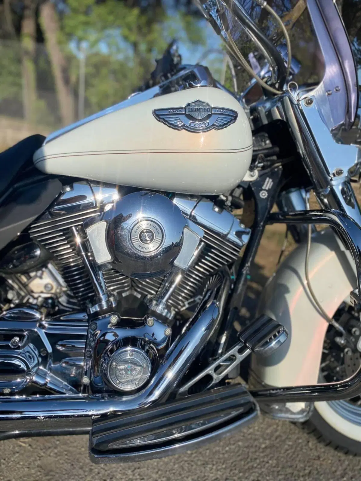 Harley-Davidson 1450 Road King Classic (2003 - 05) - FLHRCI (5)