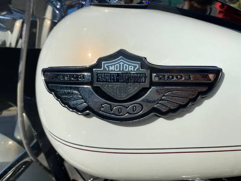 Harley-Davidson 1450 Road King Classic (2003 - 05) - FLHRCI (10)