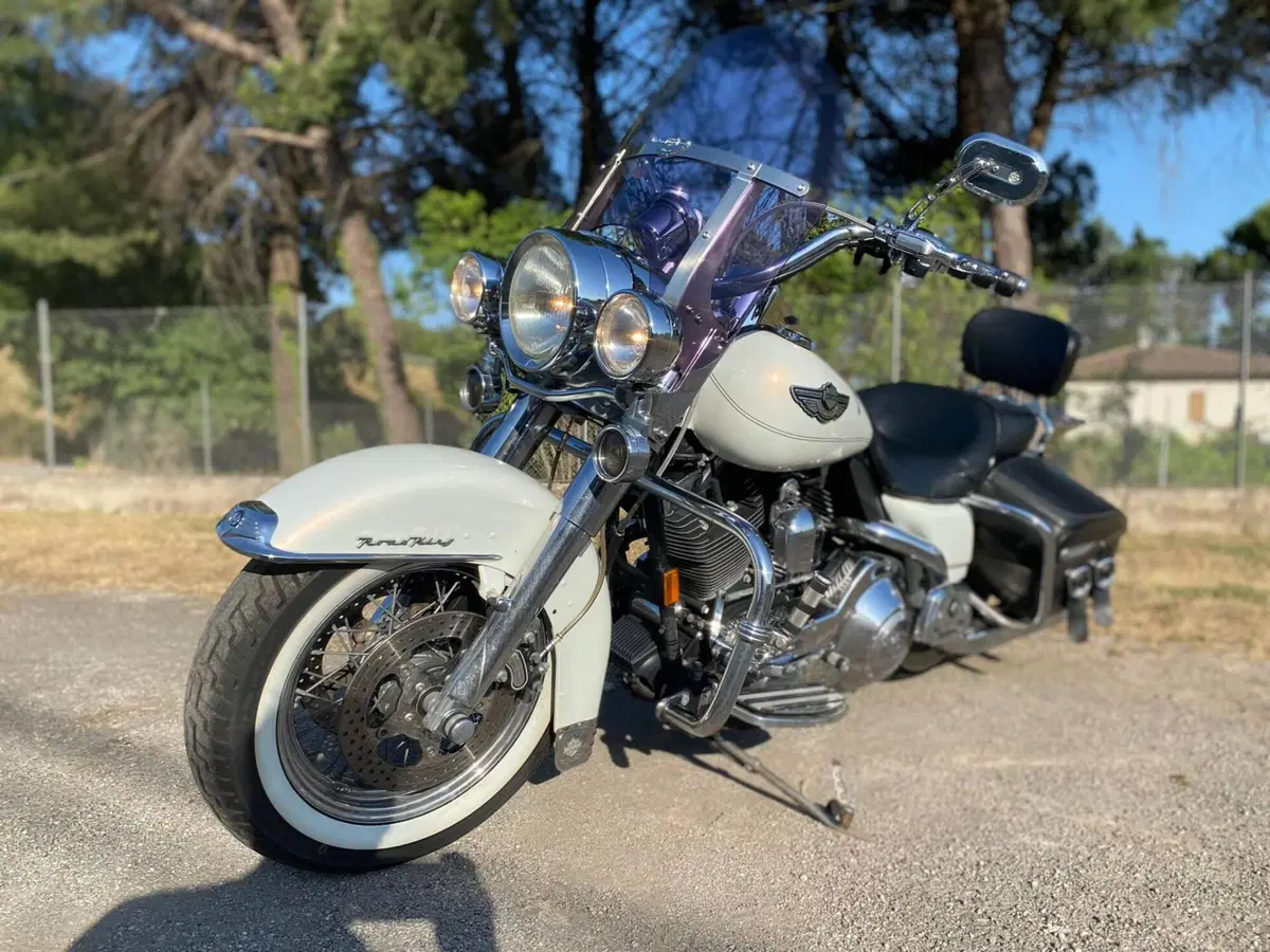 Harley-Davidson 1450 Road King Classic (2003 - 05) - FLHRCI (4)