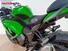 Kawasaki Ninja 1000 SX Tourer (2021 - 24) (10)