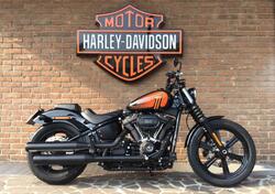 Harley-Davidson Street Bob 114 (2021 - 24) usata