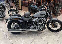 Harley-Davidson Street Bob 117 (2025) nuova