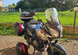 Suzuki V-Strom 650DL (2006 - 07) usata