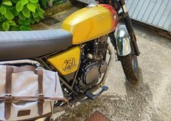 Brixton Motorcycles Cromwell 250 (2021 - 25) usata