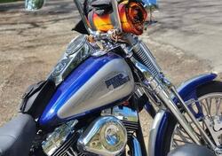 Harley-Davidson 1584 Custom (2007) - FXSTC usata