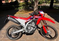 Honda CRF 300 L (2021 - 24) usata