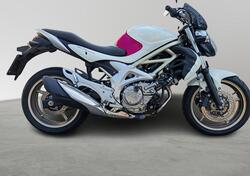 Suzuki Gladius 650 SFV (2009 - 15) usata
