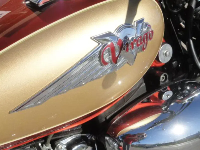 Yamaha XV 535 DX Virago (1998 - 04) (15)