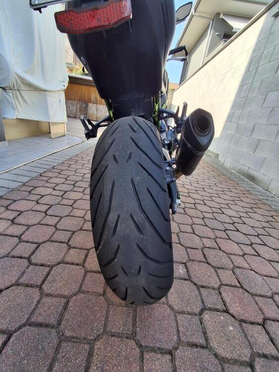 Kawasaki Z 900 Performance (2021 - 24) (5)