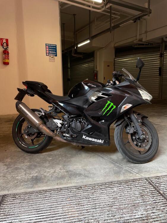 Kawasaki Ninja 400 (2018 - 20) (2)