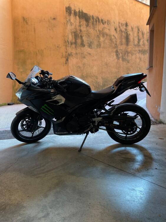 Kawasaki Ninja 400 (2018 - 20) (4)
