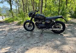 Triumph Bonneville T100 (2021 - 25) usata