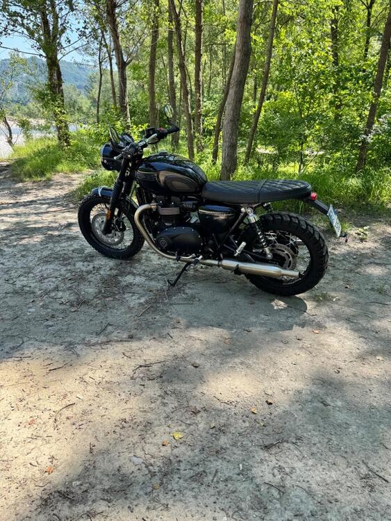 Triumph Bonneville T100 (2021 - 25) (2)