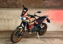 Kove 800X Pro (2024 - 25) usata