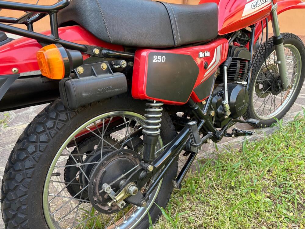 Cagiva Aletta blu 250 (5)