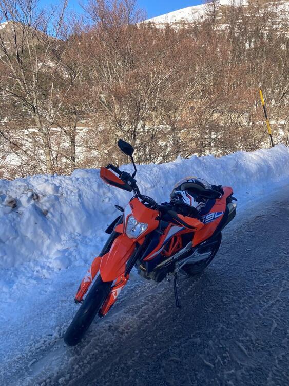 KTM 690 SMC R (2023 - 25) (3)