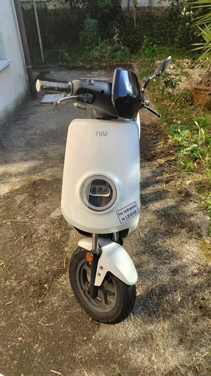 Niu MQi Sport (2019 - 20) (2)