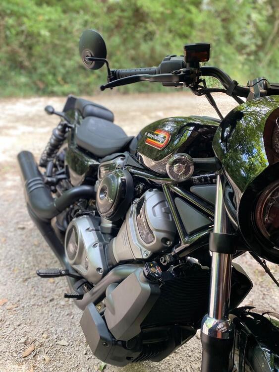 Harley-Davidson Nightster (2023 - 25) (4)