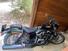 Harley-Davidson Nightster (2023 - 25) (9)