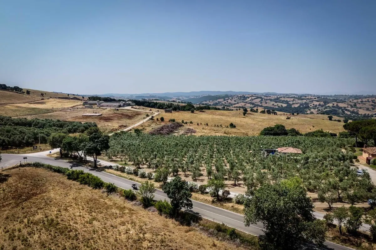 20.000 Pieghe 2025. Trionfo di Curve e Panorami (16)