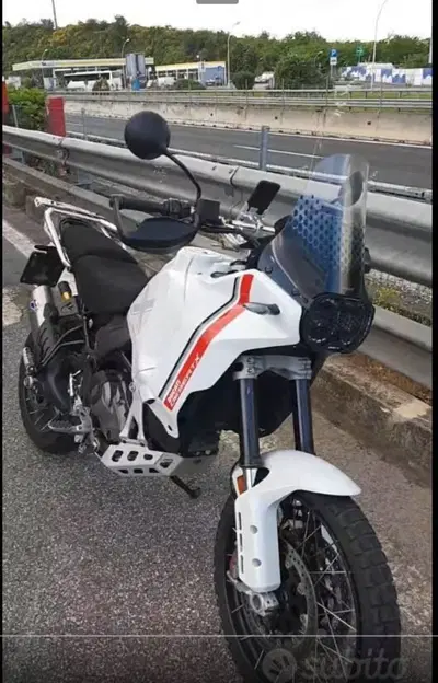 Ducati DesertX (2022 - 25) usata