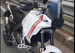 Ducati DesertX (2022 - 25) usata