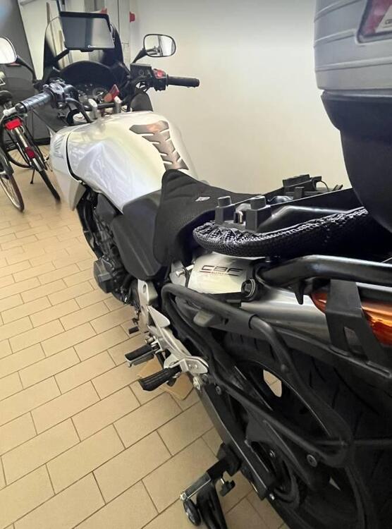 Honda CBF 600 (2004 - 06) (2)