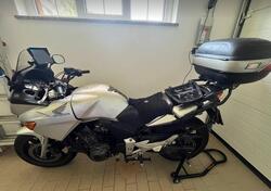 Honda CBF 600 (2004 - 06) usata