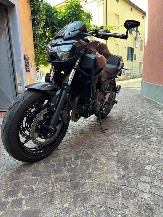 Kawasaki Z 650 (2021 - 24) (2)