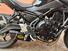 Kawasaki Z 650 (2021 - 24) (6)