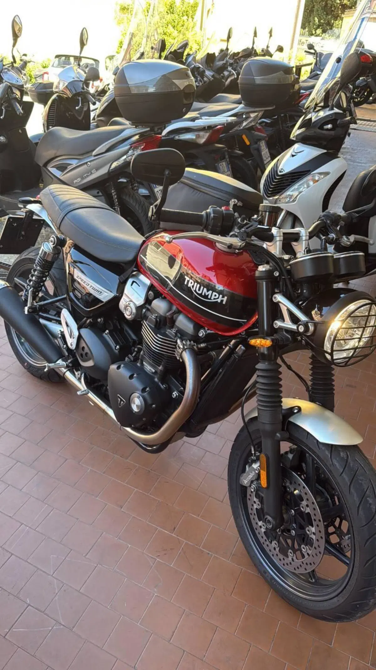 Triumph Speed Twin 1200 (2021 - 24) (3)