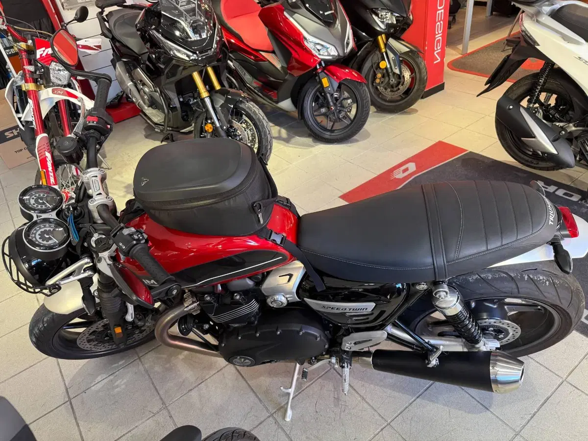 Triumph Speed Twin 1200 (2021 - 24) (6)