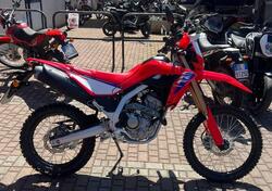 Honda CRF 300 L (2025) nuova
