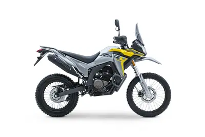 Voge Valico 300 Rally (2022 - 26) nuova