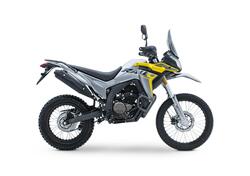 Voge Valico 300 Rally (2022 - 25) nuova