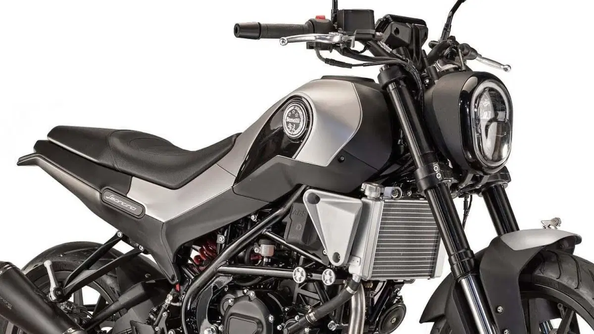 Benelli Leoncino 250 (2021 - 25) (3)