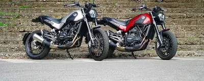 Benelli Leoncino 500 (2021 - 25) nuova