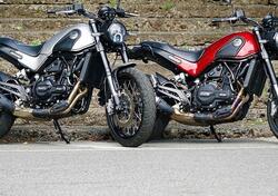Benelli Leoncino 500 (2021 - 25) nuova