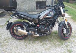 Benelli Leoncino 500 (2021 - 25) usata