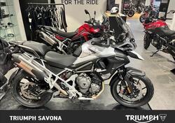 Triumph Tiger 1200 GT Pro (2024 - 25) usata