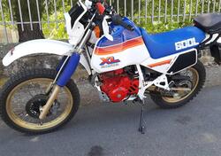 Honda XL 600 LM (1985 - 89) usata